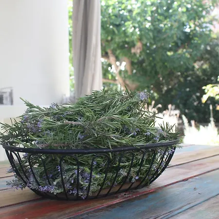 Orkeli Casa Βίλα Πλάκα