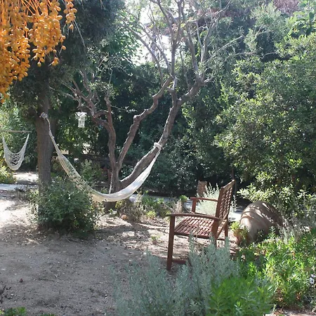 Orkeli Casa * Πλάκα