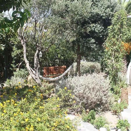 Orkeli Casa Πλάκα
