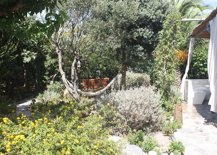 Orkeli Casa Плака