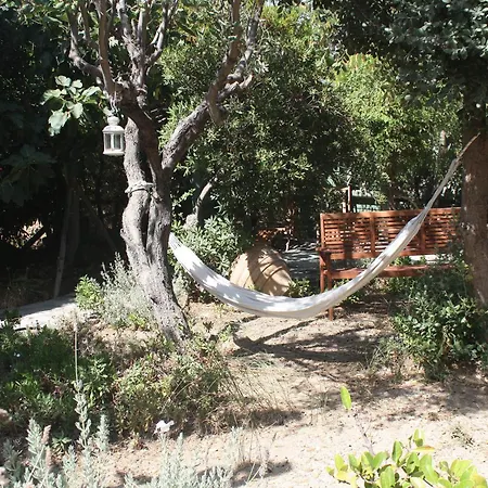 Vila Orkeli Casa Pláka