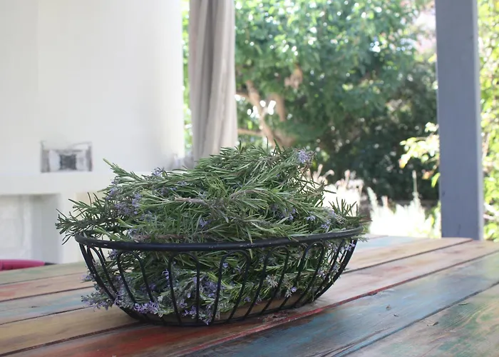 Orkeli Casa Βίλα Πλάκα