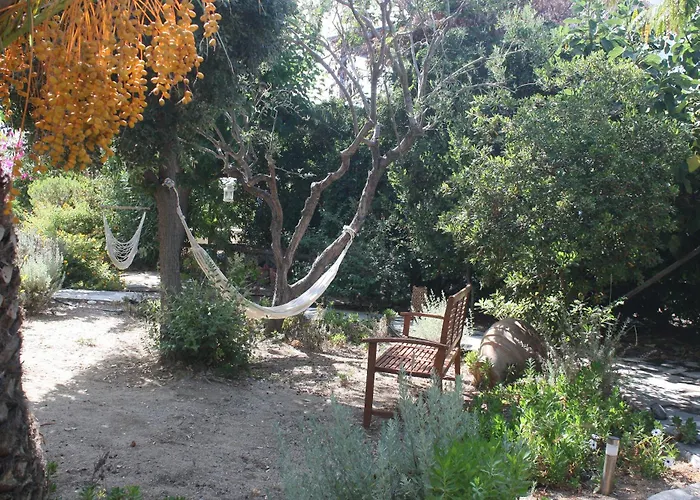 Orkeli Casa * Πλάκα