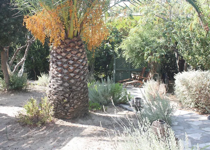 Orkeli Casa Βίλα