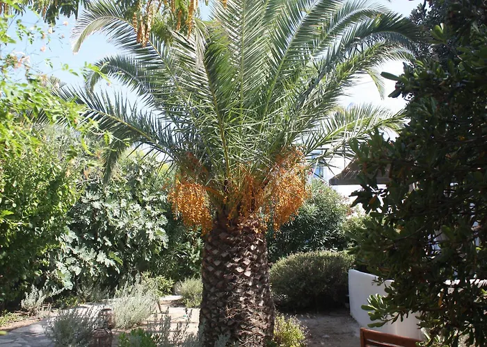 Βίλα Orkeli Casa *